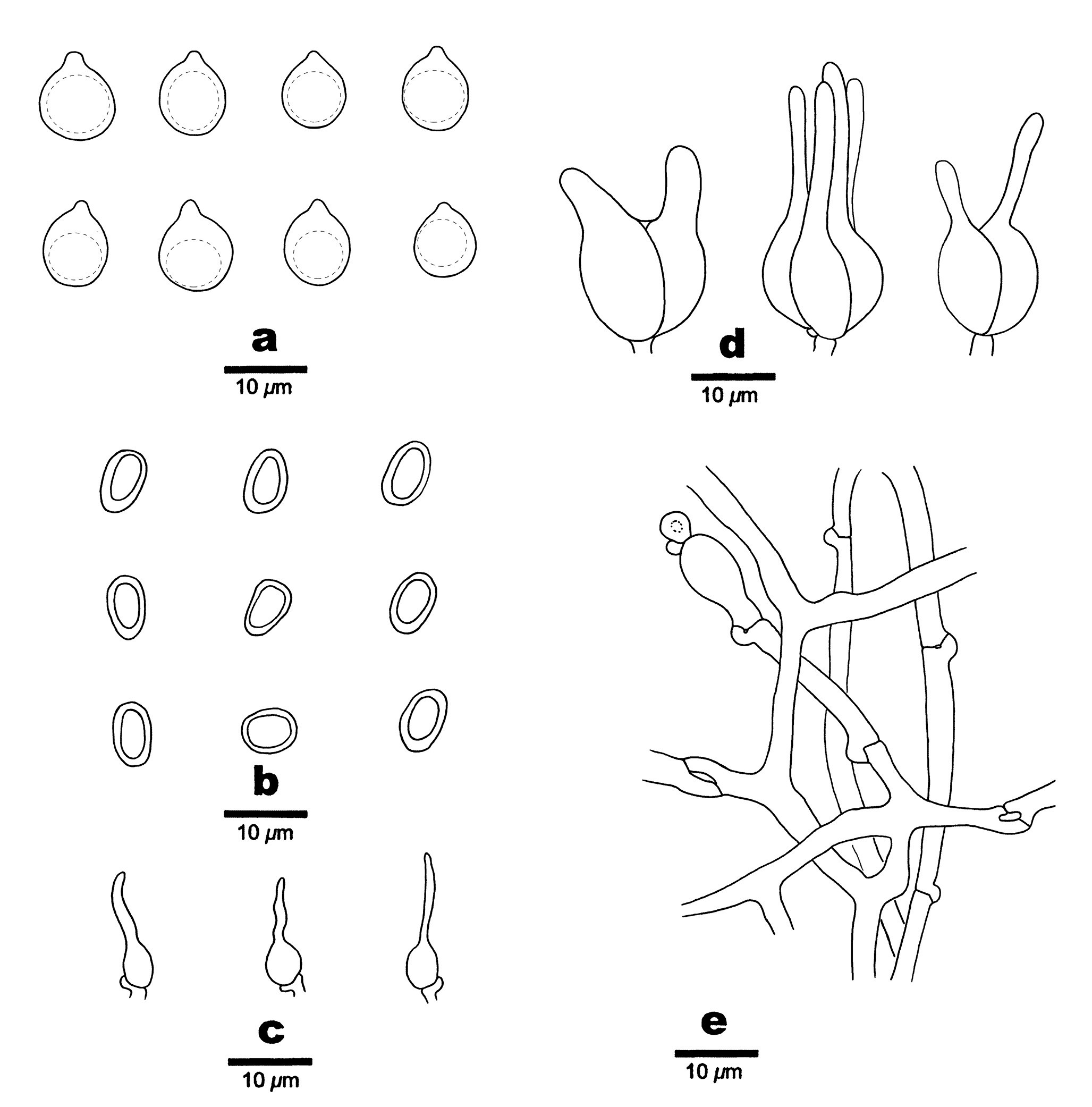 Figure 47